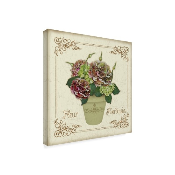 Jean Plout 'Fleur Hortensia 8' Canvas Art,18x18